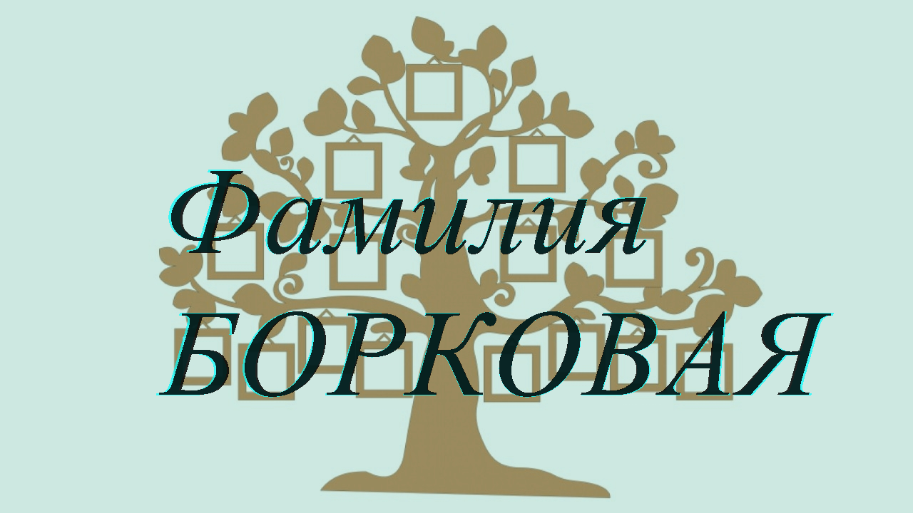 Фамилия БОРКОВАЯ ; происхождение история и значение