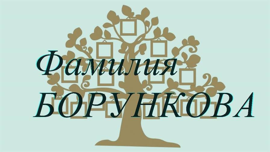 Фамилия БОРУНКОВА ; происхождение история и значение