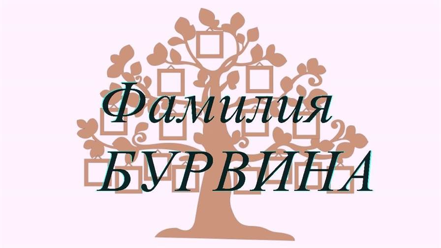 Фамилия БУРВИНА ; происхождение история и значение