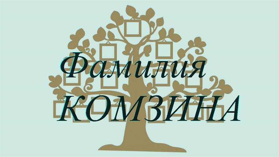 Фамилия КОМЗИНА ; происхождение история и значение