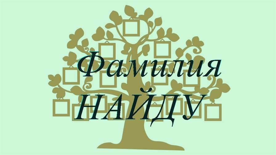 Фамилия НАЙДУ ; происхождение история и значение