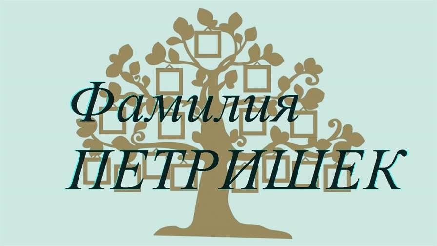 Фамилия ПЕТРИШЕК ; происхождение история и значение