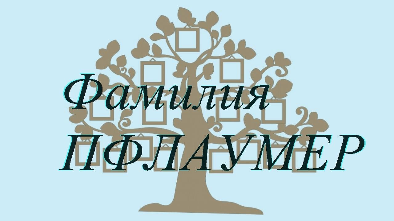 Фамилия ПФЛАУМЕР ; происхождение история и значение