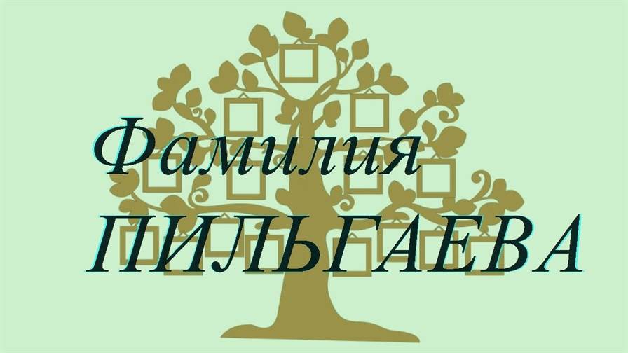 Фамилия ПИЛЬГАЕВА ; происхождение история и значение