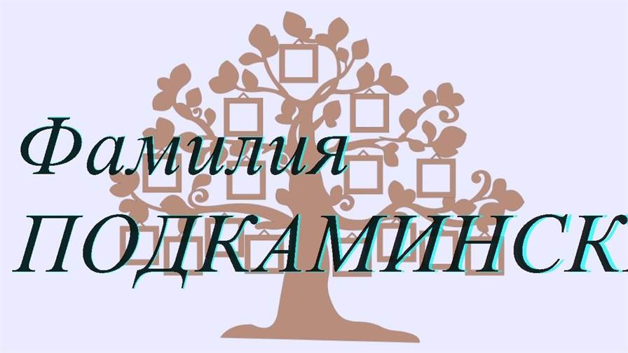 Фамилия ПОДКАМИНСКИЙ ; происхождение история и значение