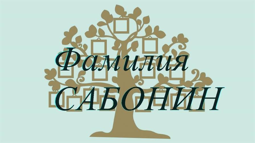 Фамилия САБОНИН ; происхождение история и значение