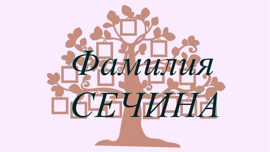 Фамилия СЕЧИНА ; происхождение история и значение