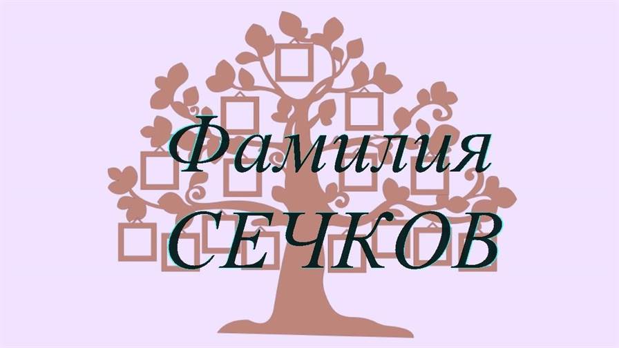 Фамилия СЕЧКОВ ; происхождение история и значение