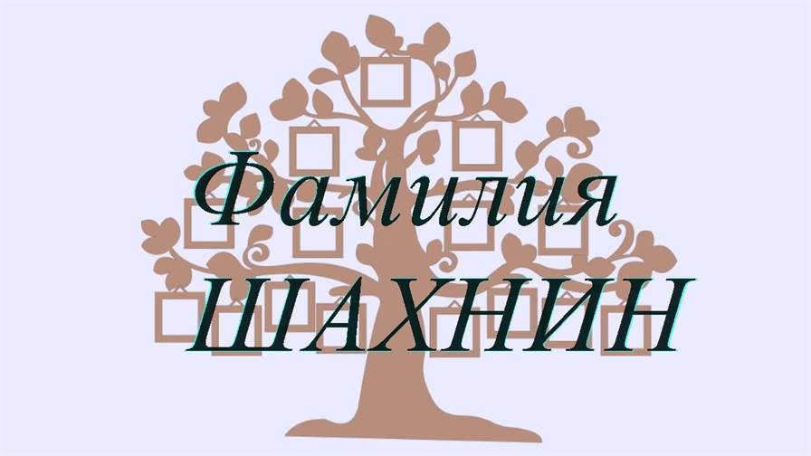 Фамилия ШАХНИН ; происхождение история и значение