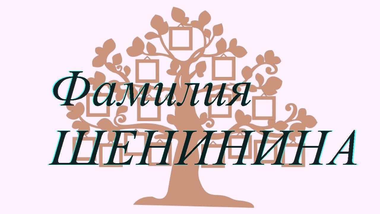 Фамилия ШЕНИНИНА ; происхождение история и значение