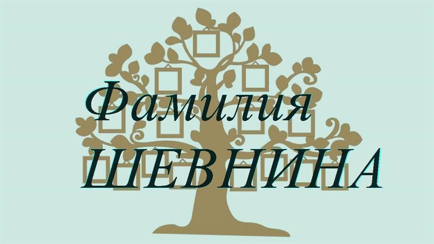 Фамилия ШЕВНИНА ; происхождение история и значение