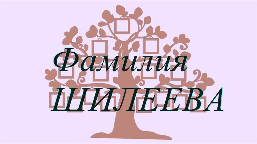 Фамилия ШИЛЕЕВА ; происхождение история и значение