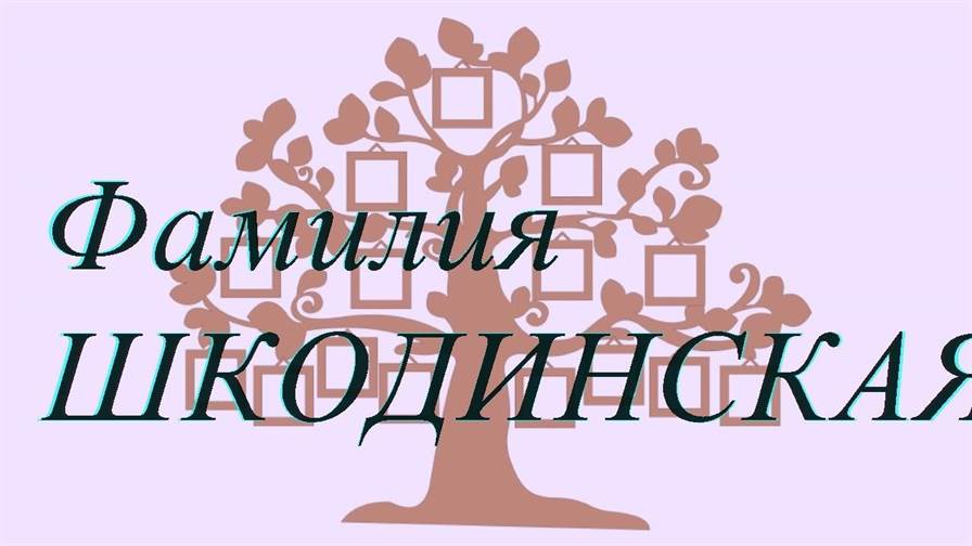 Фамилия ШКОДИНСКАЯ ; происхождение история и значение