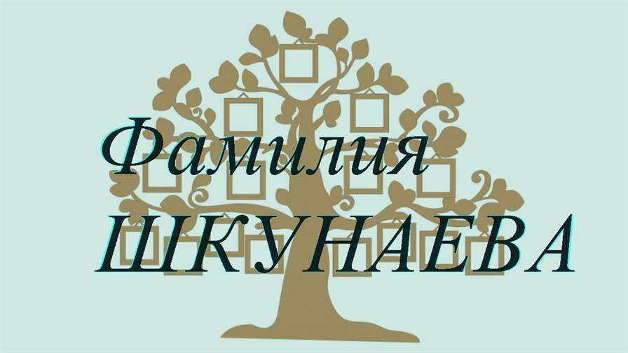 Фамилия ШКУНАЕВА ; происхождение история и значение