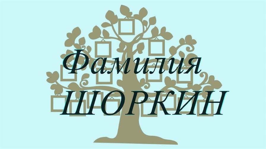 Фамилия ШОРКИН ; происхождение история и значение