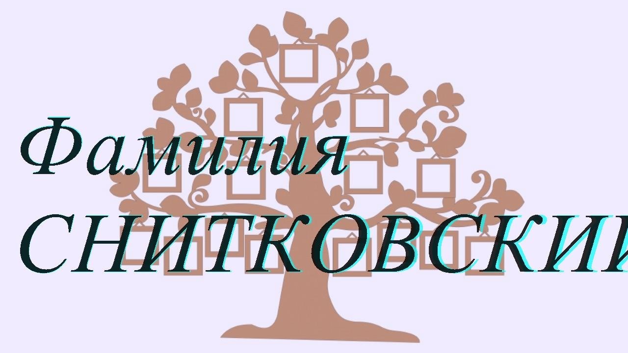Фамилия СНИТКОВСКИЙ ; происхождение история и значение