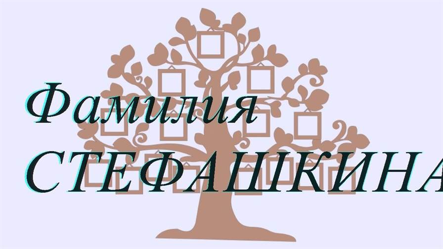 Фамилия СТЕФАШКИНА ; происхождение история и значение