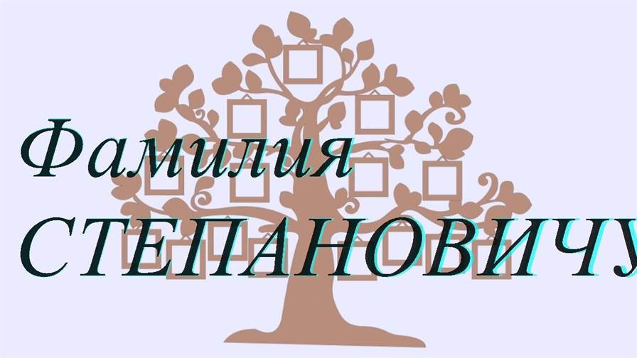 Фамилия СТЕПАНОВИЧУТЕ ; происхождение история и значение