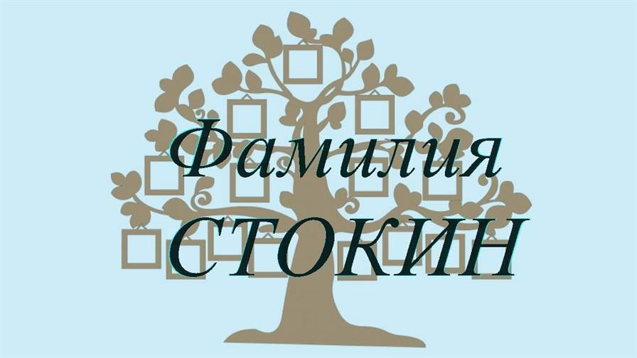 Фамилия СТОКИН ; происхождение история и значение