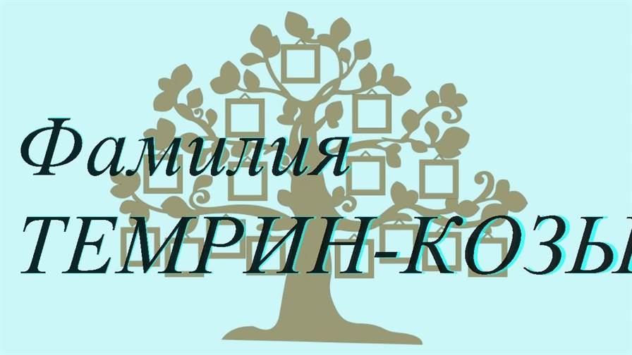 Фамилия ТЕМРИН-КОЗЫРЕВА ; происхождение история и значение