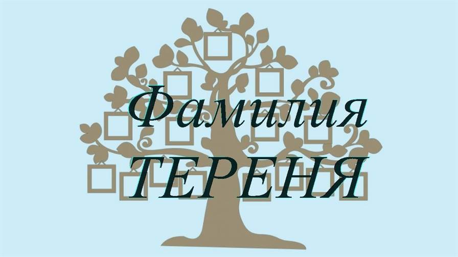 Фамилия ТЕРЕНЯ ; происхождение история и значение