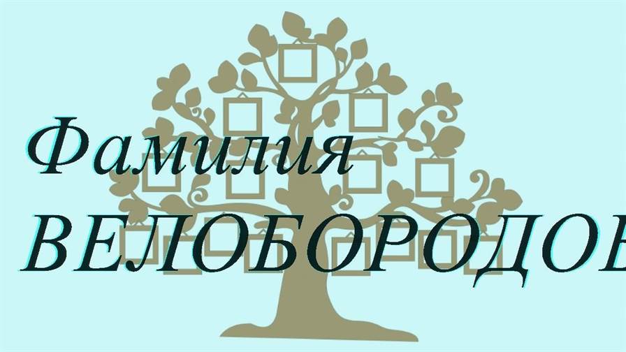 Фамилия ВЕЛОБОРОДОВ ; происхождение история и значение
