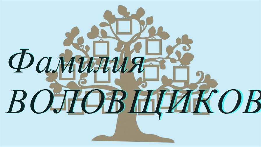 Фамилия ВОЛОВЩИКОВА ; происхождение история и значение