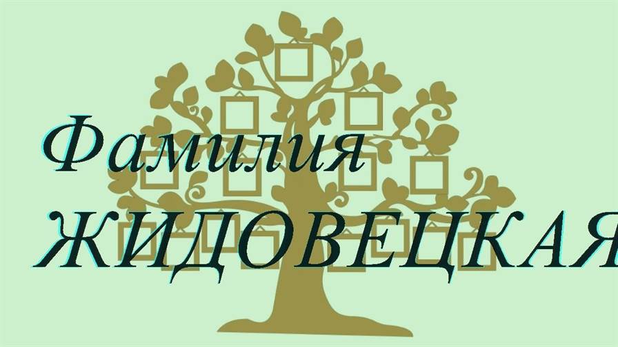 Фамилия ЖИДОВЕЦКАЯ ; происхождение история и значение